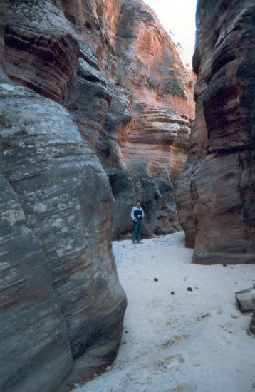 ../Images/088.Zion Canjon.jpg